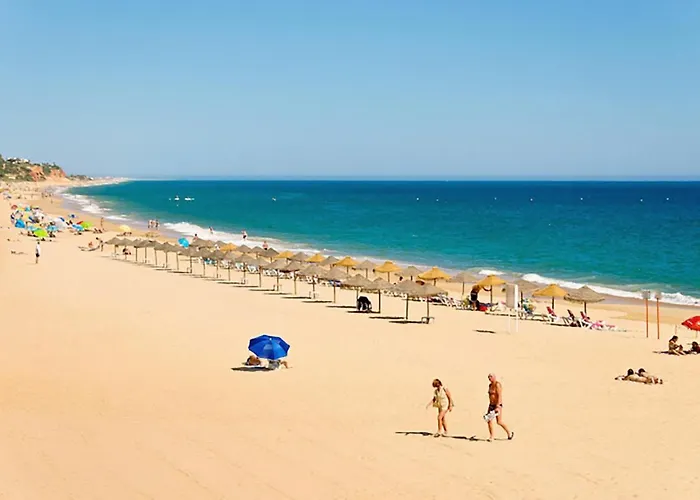 Avenida T2 Apartament
